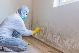 Best Emergency Mold Remediation  in Forestville, MD